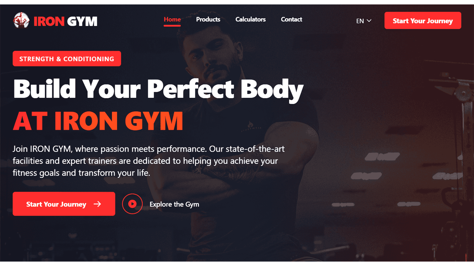 IRON GYM project screenshot